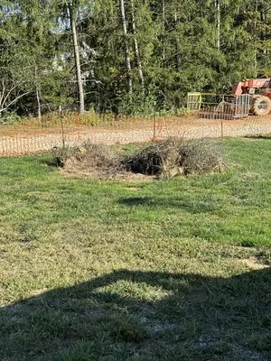 Total Tree and Landscaping