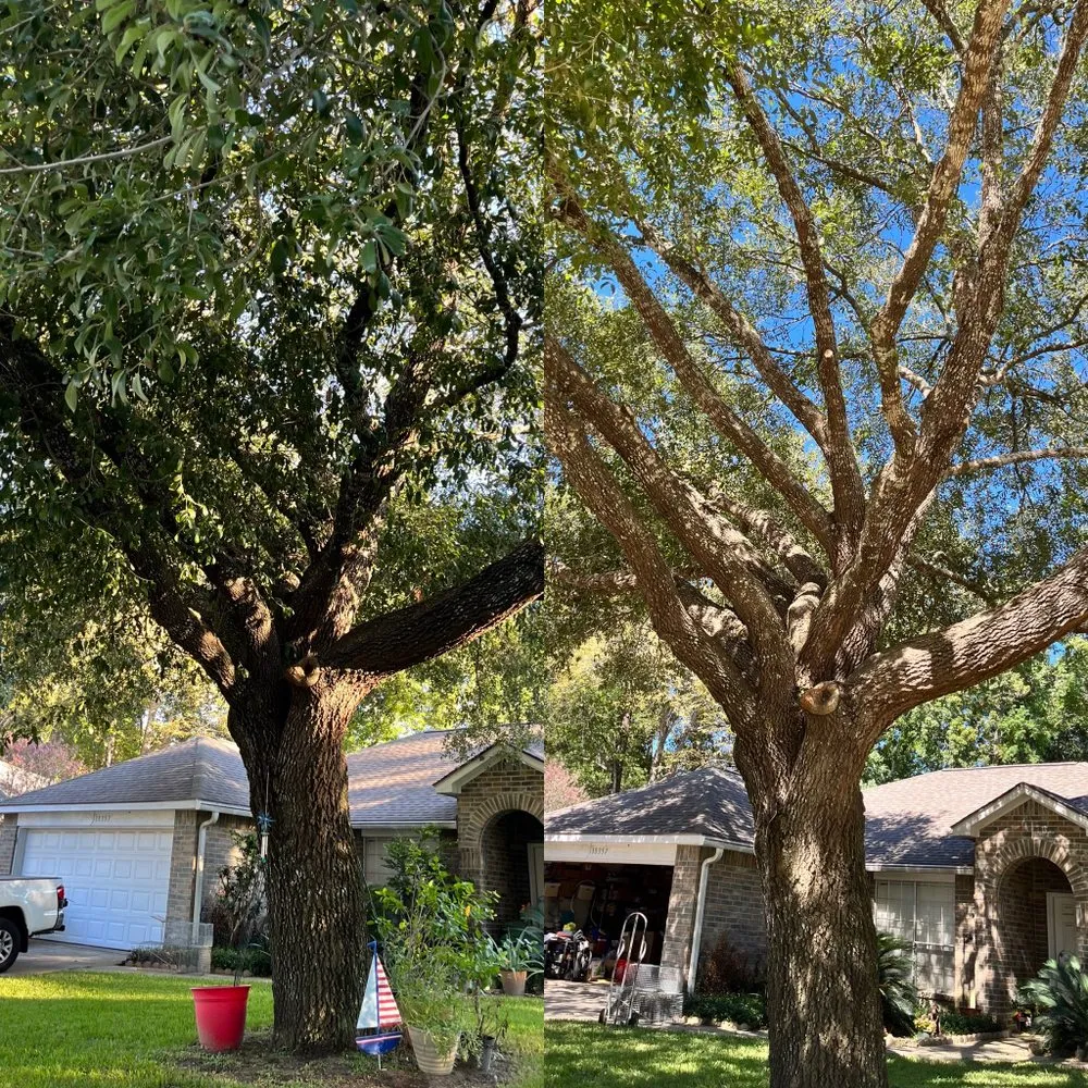 Custom outdoor landscaping for year-round maintenance across Porter, TX - Total Tree Care and Landscaping