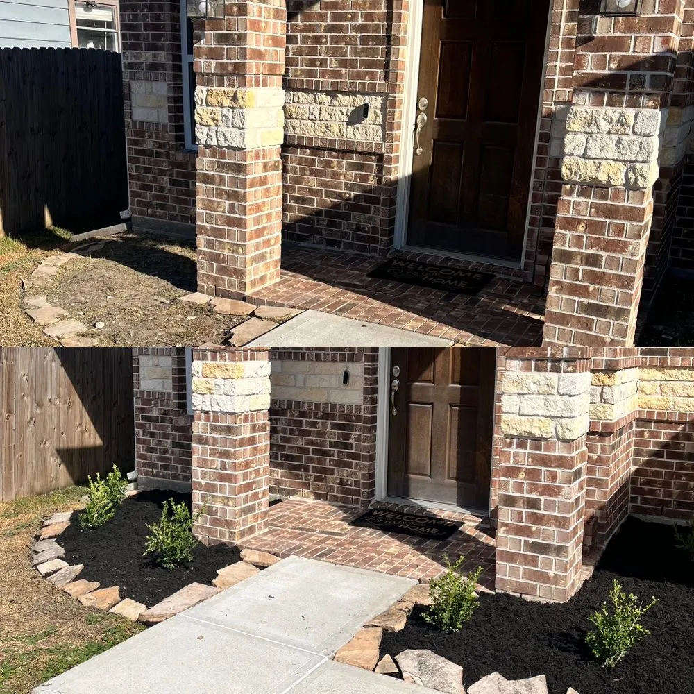 Professional yard cleanup service in Porter, TX - Total Tree Care and Landscaping