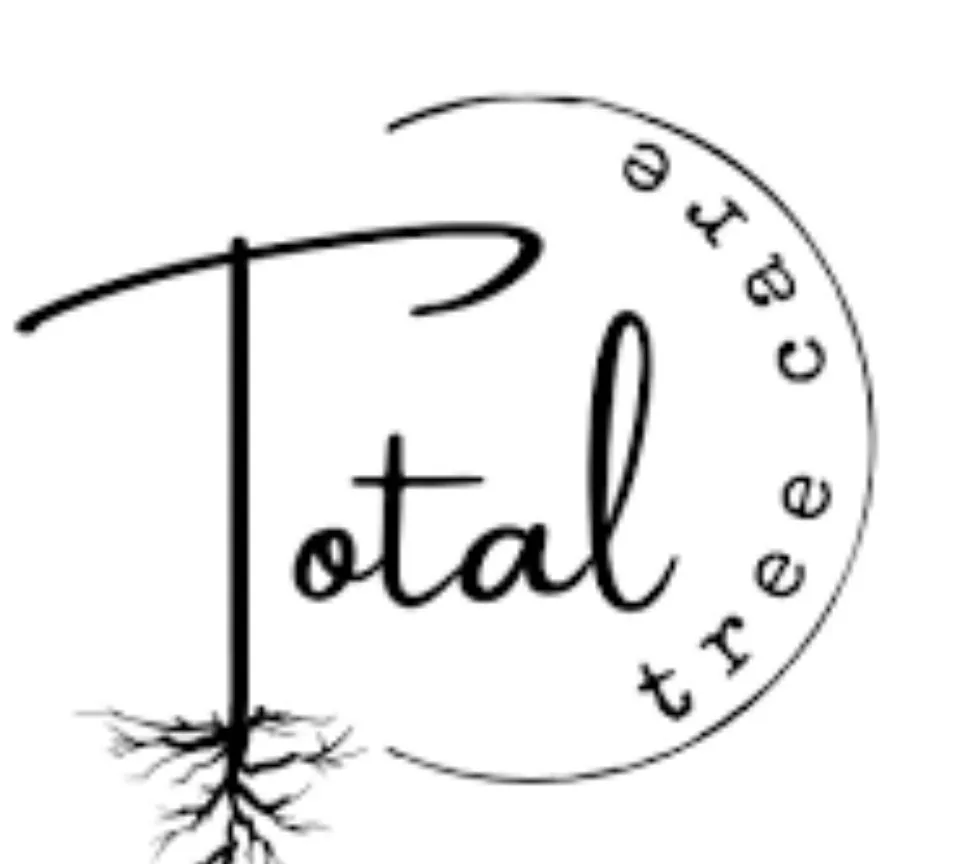 Custom landscaping services in Porter, TX by Total Tree Care and Landscaping