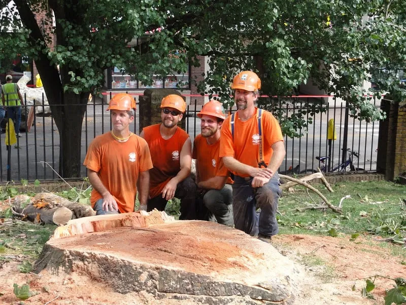 Custom outdoor landscaping near you in Radford, VA by Total Tree Health Care