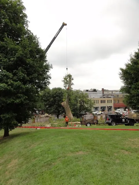 Local lawn mowing service in Radford, VA - Total Tree Health Care