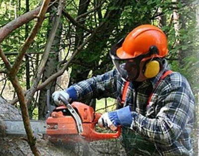 Custom landscaping services for beautiful yards in Rocky Hill, CT by Total Tree Service & Landscaping