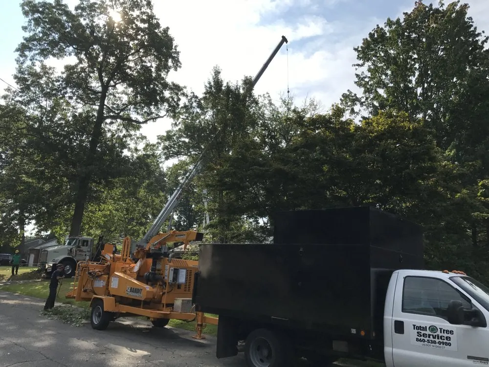 Professional yard maintenance in Rocky Hill, CT by Total Tree Service & Landscaping