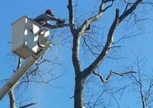 Top-rated landscape design for beautiful yards in Rocky Hill, CT by Total Tree Service & Landscaping