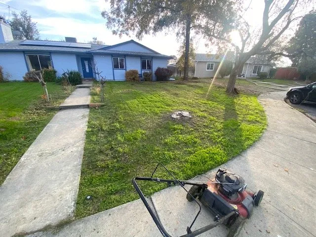 Professional landscaping services in Lemoore, CA by Total Trim Lawn Care