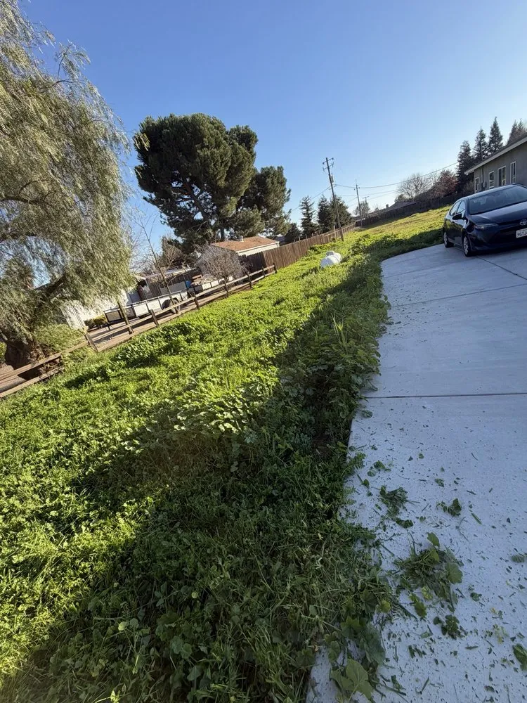 Local yard maintenance in Lemoore, CA by Total Trim Lawn Care
