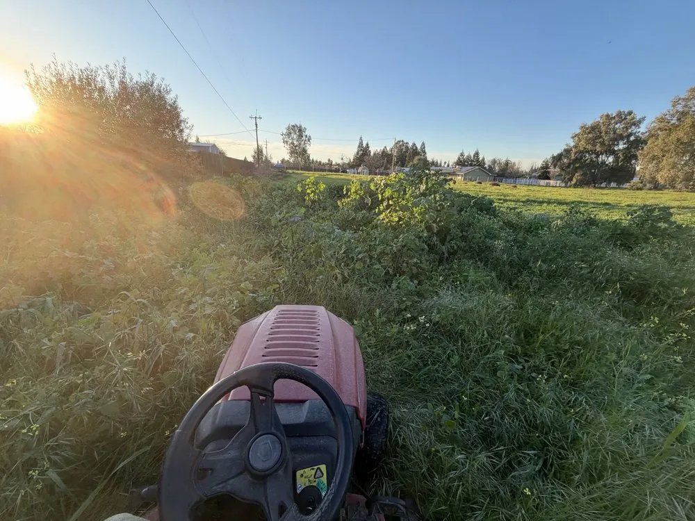 Affordable yard cleanup service in Lemoore, CA by Total Trim Lawn Care