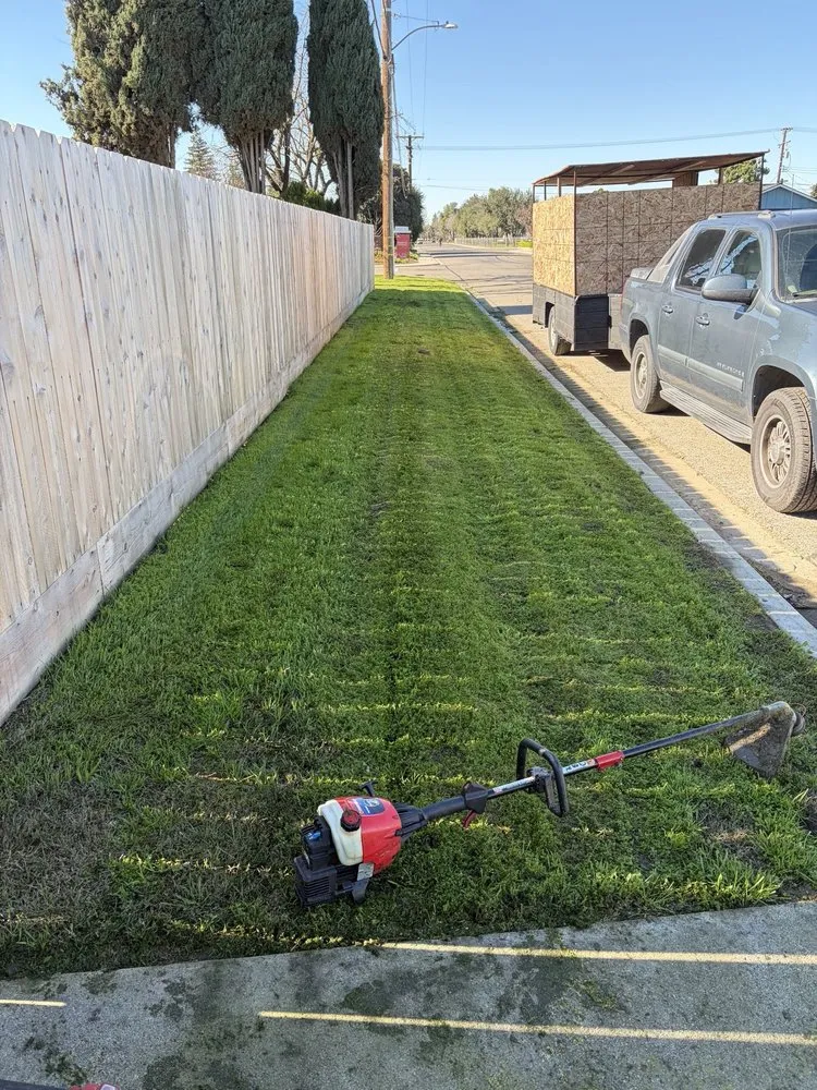 Professional landscape design experts serving Lemoore, CA - Total Trim Lawn Care
