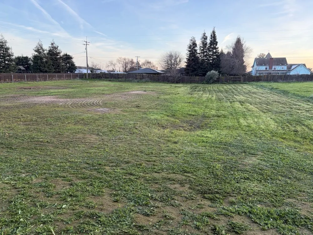 Expert landscape design in Lemoore, CA - Total Trim Lawn Care