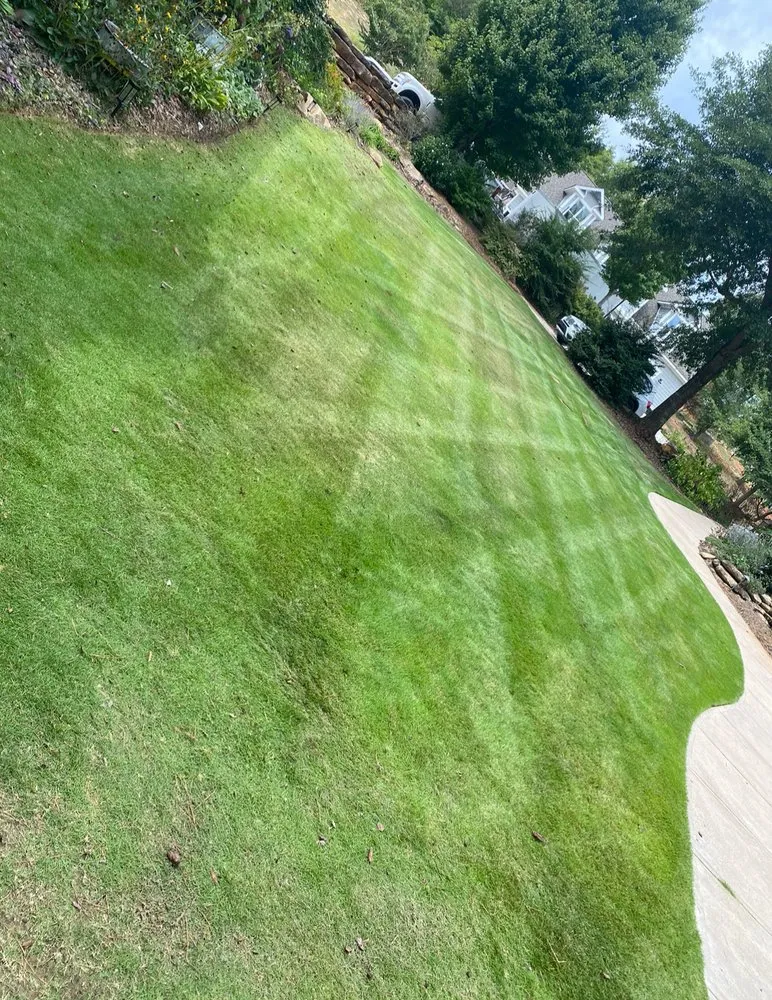 Affordable landscape design for beautiful yards in Lemoore, CA by Total Trim Lawn Care