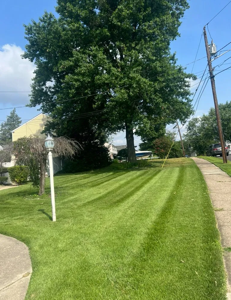 Professional garden landscaping in Lemoore, CA - Total Trim Lawn Care