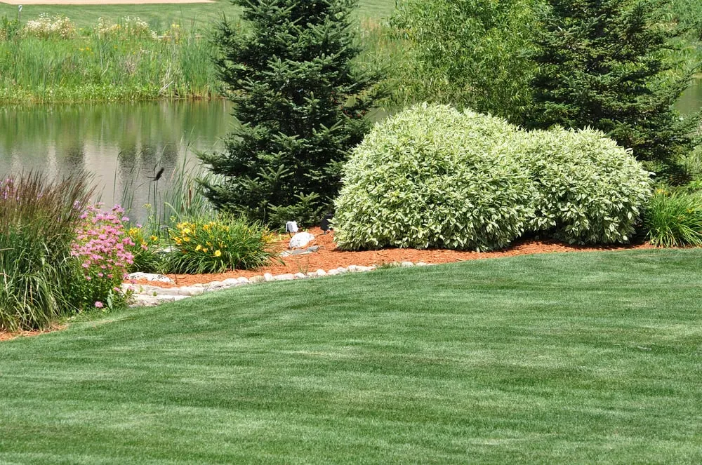 Expert landscape installation in Erie, CO - Total Turf Lawn Care
