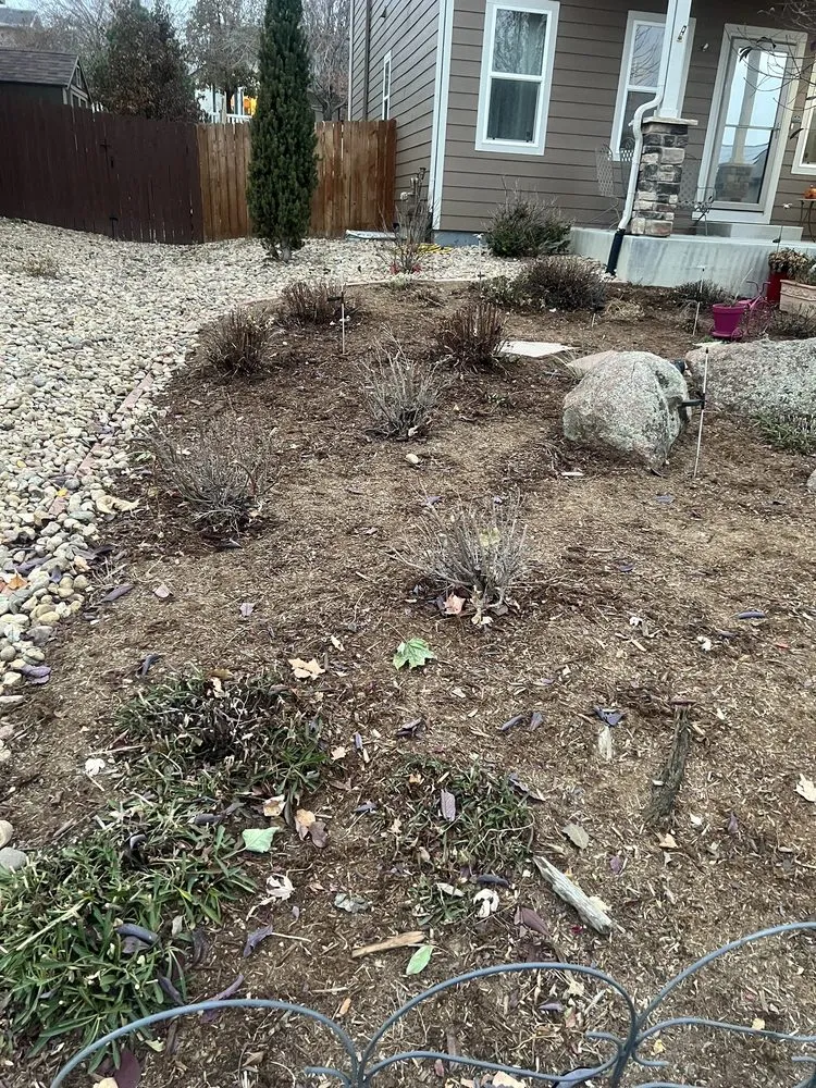 Custom landscape installation in Erie, CO by Total Turf Lawn Care