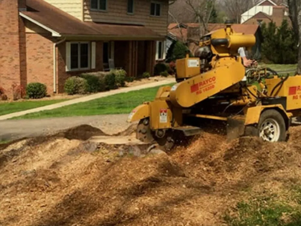 Trusted garden landscaping for beautiful yards across Seymour, IN - Total Xteriors and Outdoor Services
