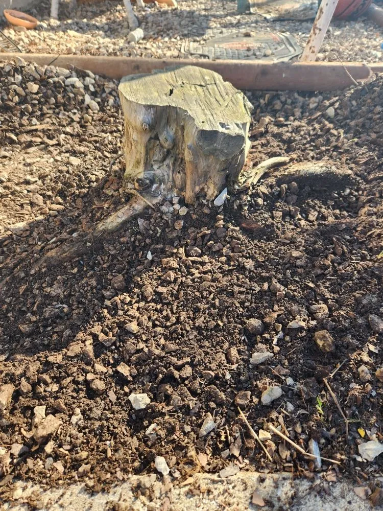 Professional outdoor landscaping experts serving Seymour, IN - Total Xteriors and Outdoor Services