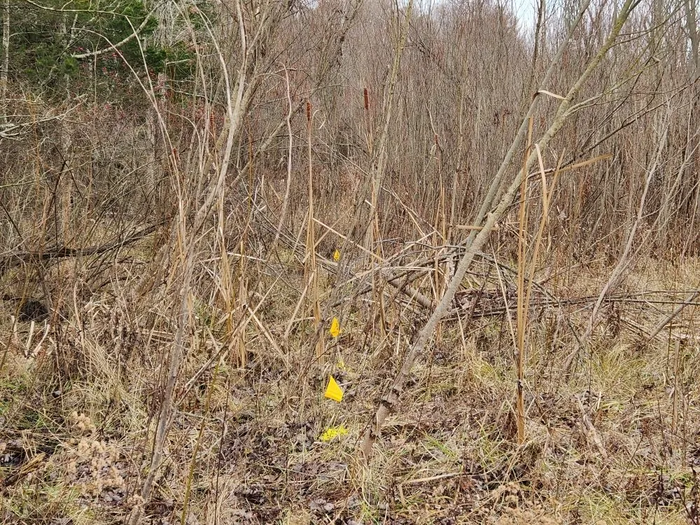 Affordable residential landscaping experts serving Seymour, IN - Total Xteriors and Outdoor Services