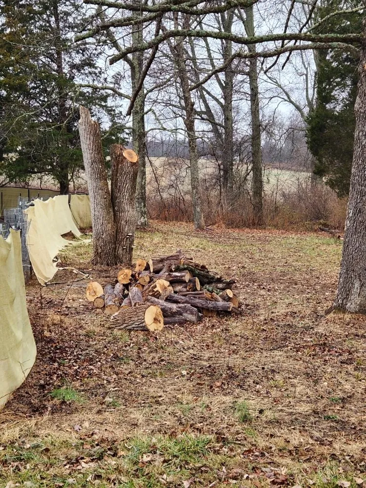 Affordable garden landscaping for outdoor upgrades in Seymour, IN by Total Xteriors and Outdoor Services