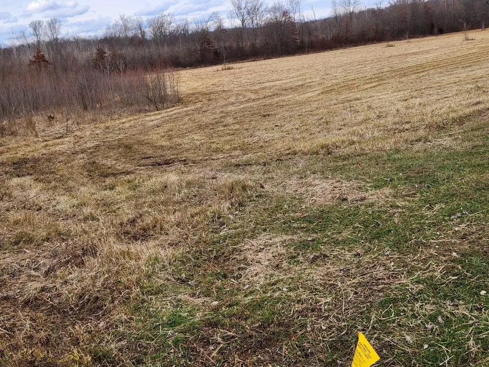 Affordable outdoor landscaping for outdoor upgrades in Seymour, IN by Total Xteriors and Outdoor Services