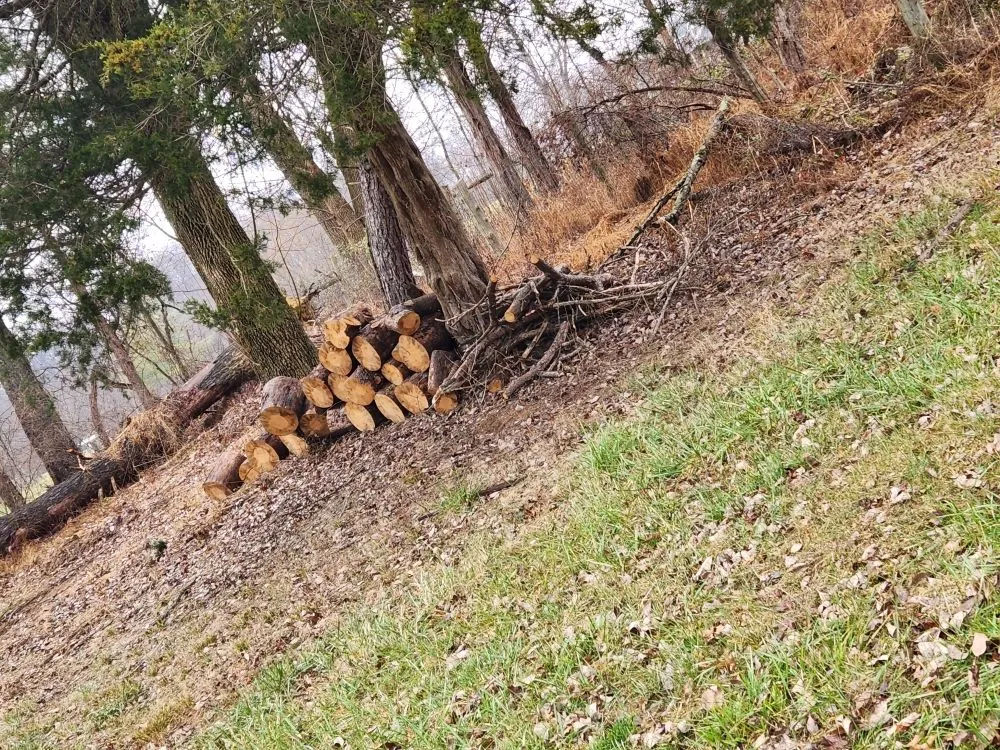 Trusted landscaping services experts serving Seymour, IN - Total Xteriors and Outdoor Services