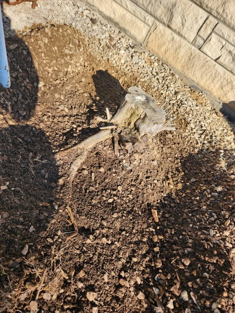 Affordable garden landscaping experts serving Seymour, IN - Total Xteriors and Outdoor Services