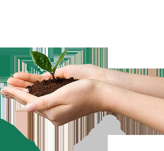 Top-rated outdoor landscaping in Shreveport, LA by Total Yard Care