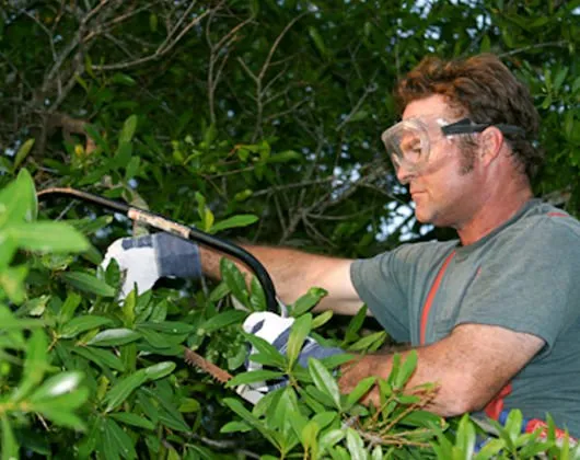 Trusted landscape design in Shreveport, LA by Total Yard Care