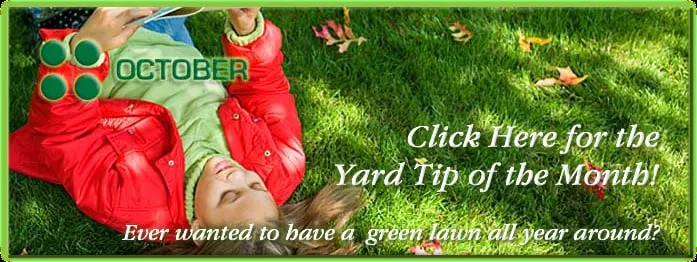 Reliable yard cleanup service experts serving Shreveport, LA - Total Yard Care