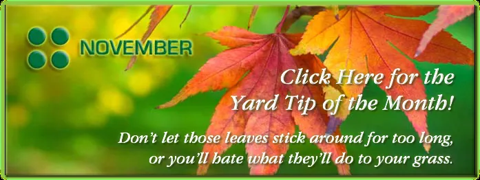 Expert lawn care service in Shreveport, LA - Total Yard Care