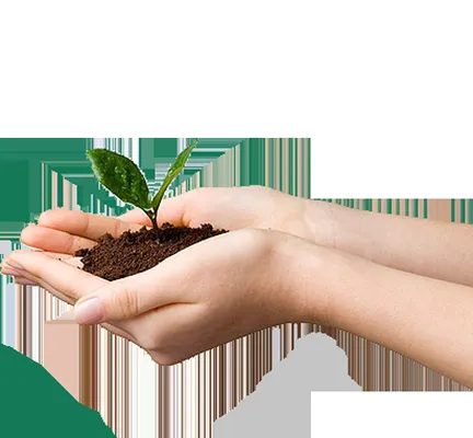 Total Yard Care Logo