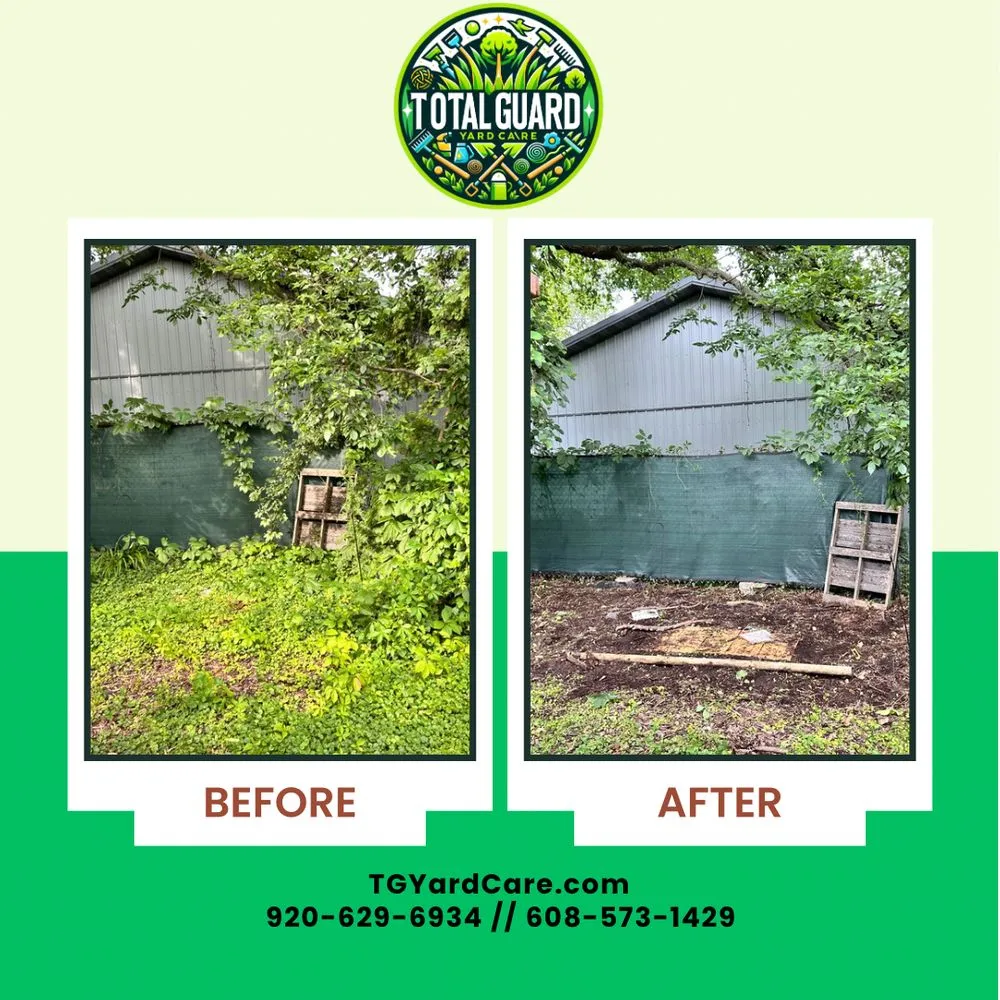 Expert yard cleanup service in Madison, WI by TotalGuard Yard Care