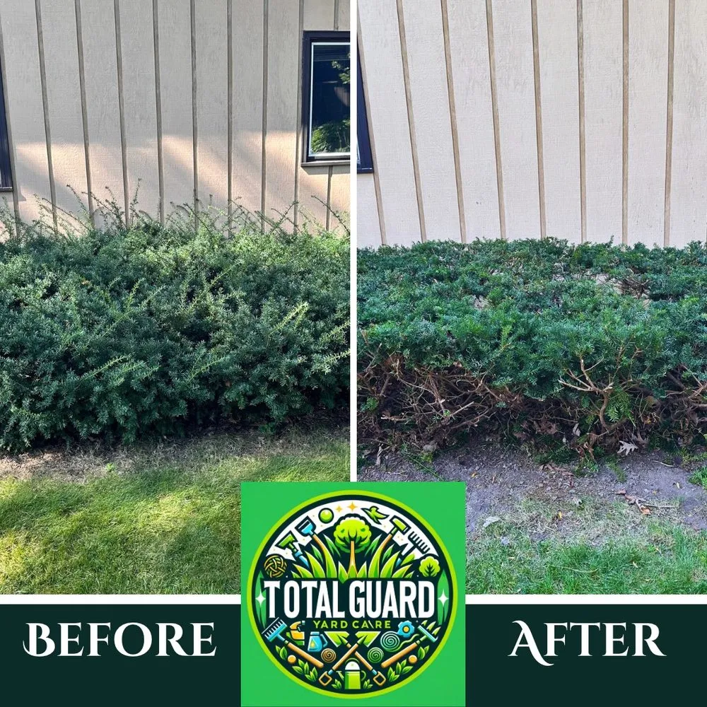 Expert residential landscaping with custom design across Madison, WI - TotalGuard Yard Care