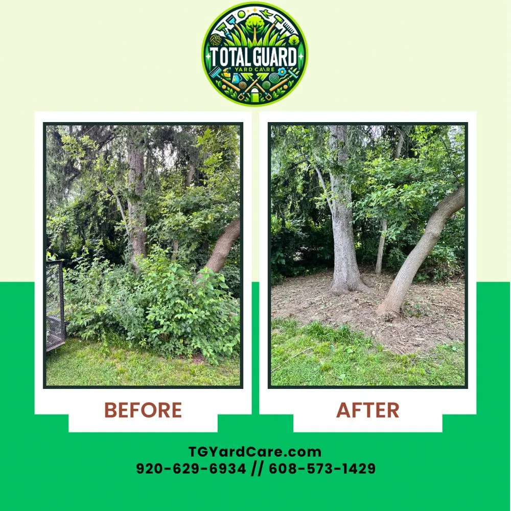 Affordable landscape installation in Madison, WI - TotalGuard Yard Care