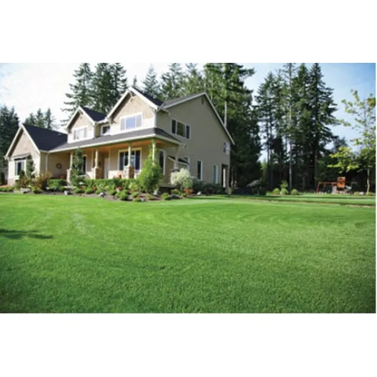 Custom landscaping services for residential properties across Bakersfield, CA - Totally Green