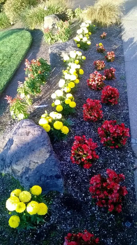 Custom outdoor landscaping in Bakersfield, CA by Totally Green