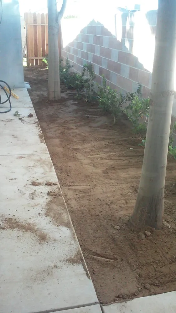 Local landscaping services for residential properties across Bakersfield, CA - Totally Green