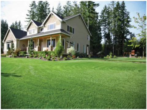 Local landscape installation in Bakersfield, CA - Totally Green