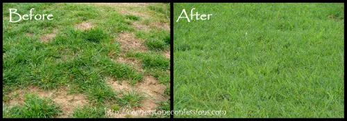 Local landscape design experts serving Bakersfield, CA - Totally Green