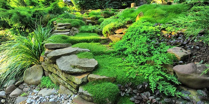 Trusted garden landscaping with custom design in Homerville, GA by Totally Green Lawn Care And Tree Service
