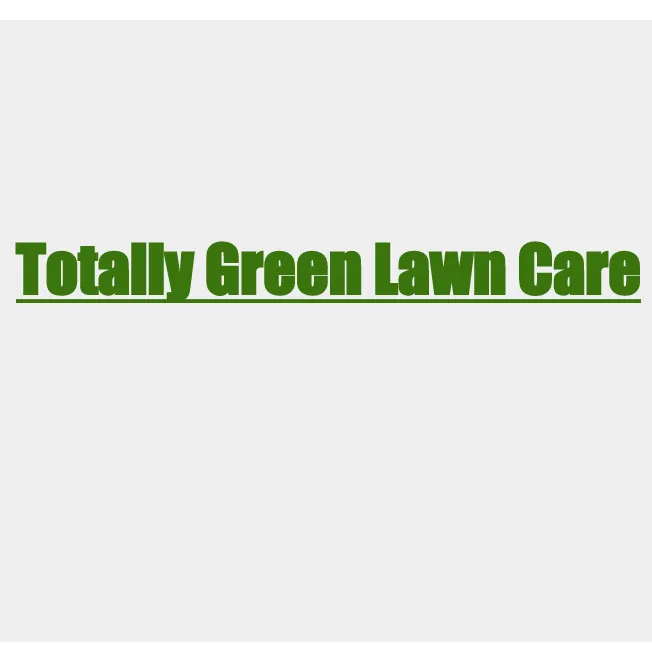 Reliable yard cleanup service in Homerville, GA - Totally Green Lawn Care And Tree Service