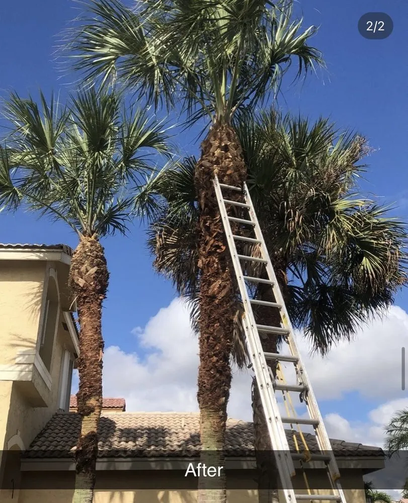 Trusted landscape design in Lee, FL - Totally Outdoors Lawn and Landscaping