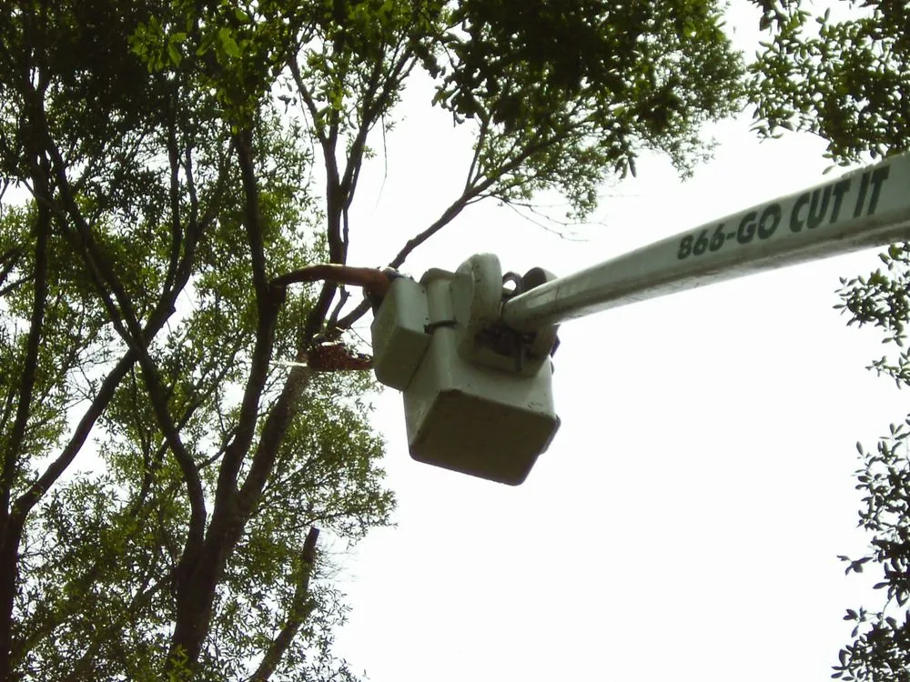 Trusted lawn care service for beautiful yards in Ludington, MI by Totally Trees