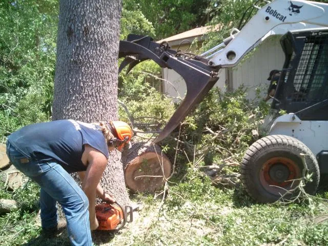 Professional landscaping services in Ludington, MI - Totally Trees