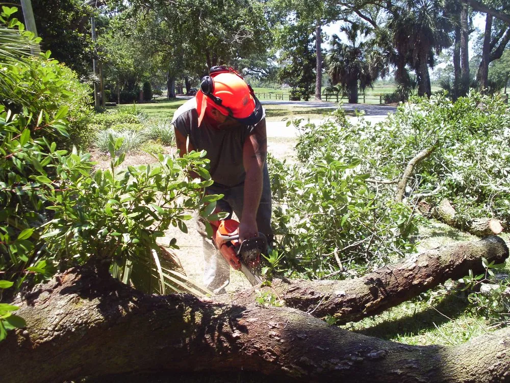 Trusted landscape installation in Ludington, MI by Totally Trees