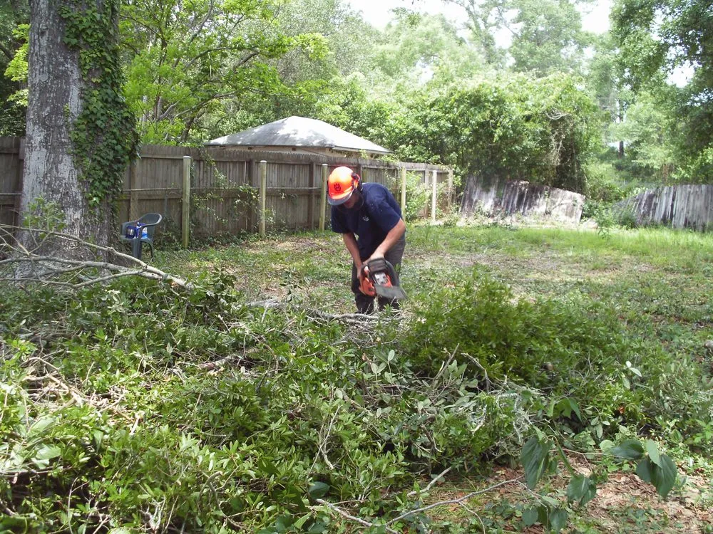 Trusted lawn care service for residential properties across Ludington, MI - Totally Trees