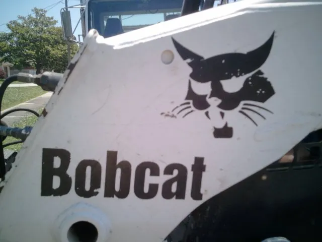 Top-rated landscape installation experts serving Ludington, MI - Totally Trees