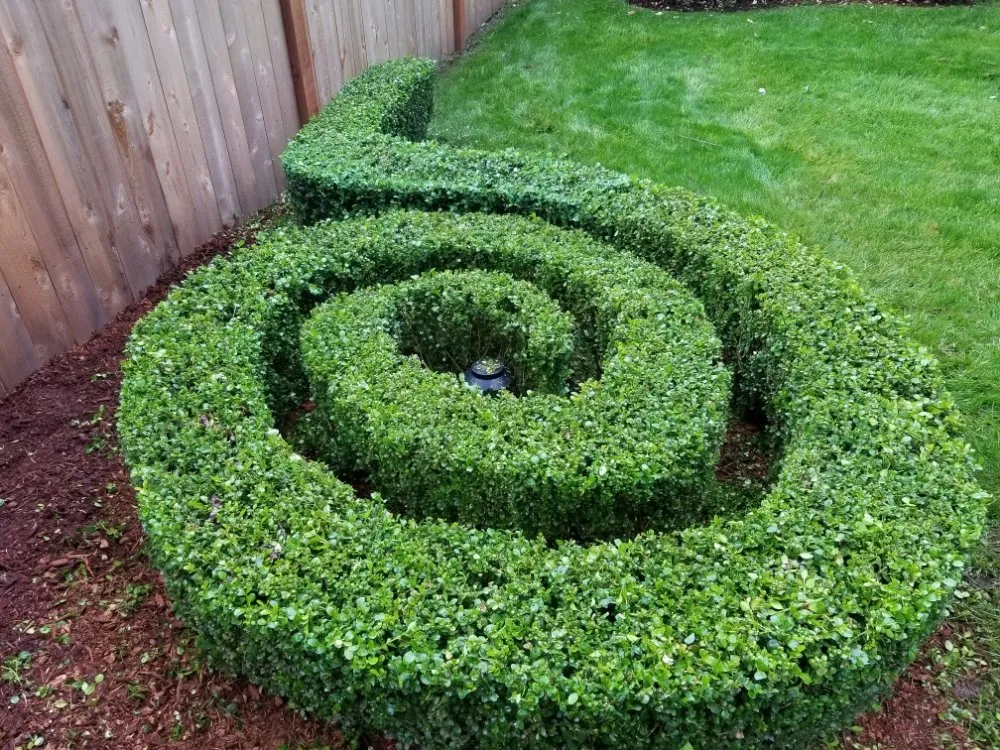 Trusted lawn mowing service in Bothell, WA by Totem Lake Landscaping and services