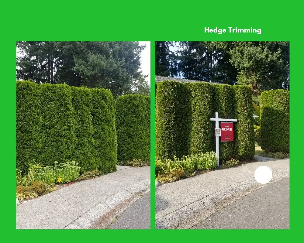 Custom lawn care service near you across Bothell, WA - Totem Lake Landscaping and services