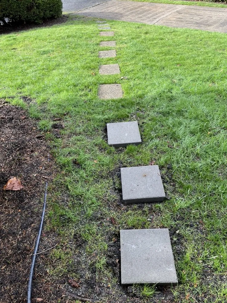 Professional yard maintenance for homes across Bothell, WA - Totem Lake Landscaping and services