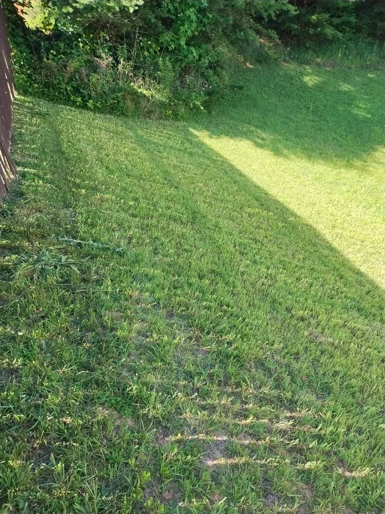 Trusted outdoor landscaping in Thomasville, NC by Totherows Landscaping and Lawn